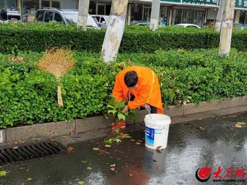 蘭山環衛 借雨洗城促潔凈，設施服務保民生